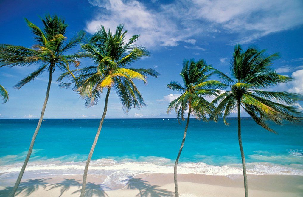 Hotel Waves & Spa, Barbados, An Autograph Collection 4*